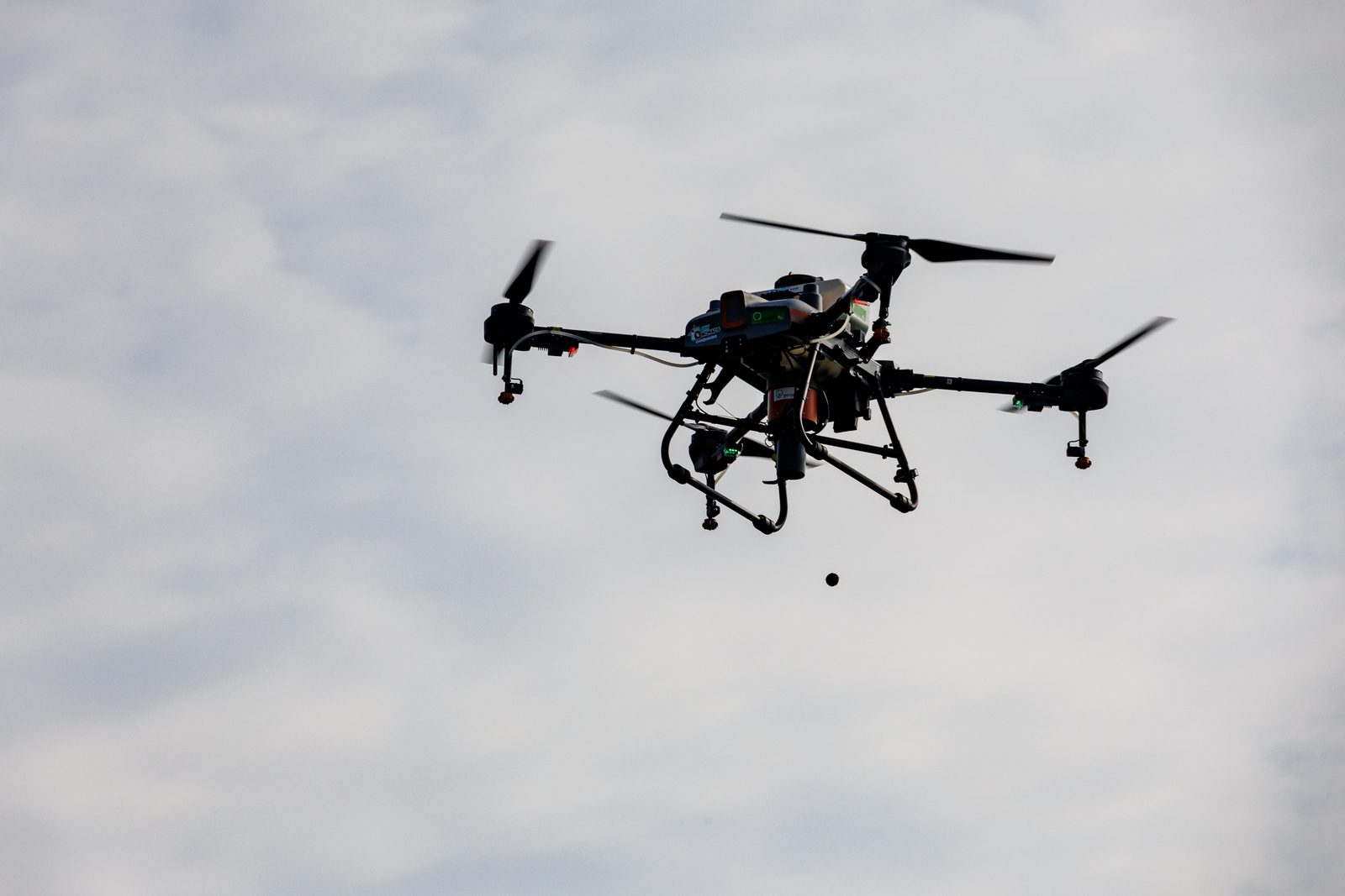 Pošumljavanje dronovima i veštačkom inteligencijom